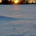 Gemuetliche Mit Blick In Wiesen Штур
