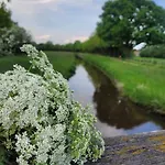 Gemuetliche Mit Blick In Wiesen Апартаменты