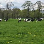 Gemuetliche Mit Blick In Wiesen * Штур
