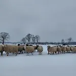 Gemuetliche Mit Blick In Wiesen Штур