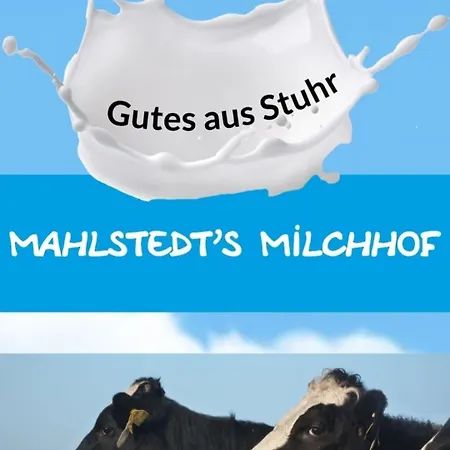 Gemuetliche Mit Blick In Wiesen Appartamento