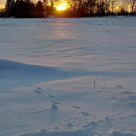 Gemuetliche Mit Blick In Wiesen Stuhr