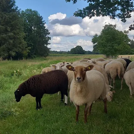 Gemuetliche Mit Blick In Wiesen Stuhr
