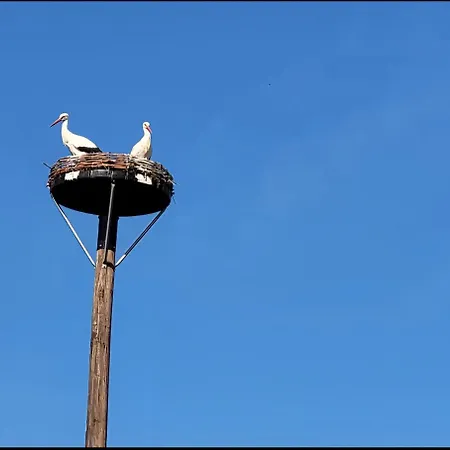 Gemuetliche Mit Blick In Wiesen *