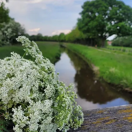 Gemuetliche Mit Blick In Wiesen Appartamento