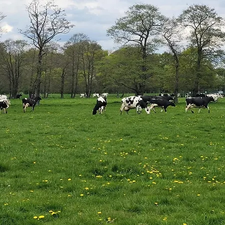 Gemuetliche Mit Blick In Wiesen * Stuhr