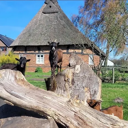 Gemuetliche Mit Blick In Wiesen Appartamento Stuhr