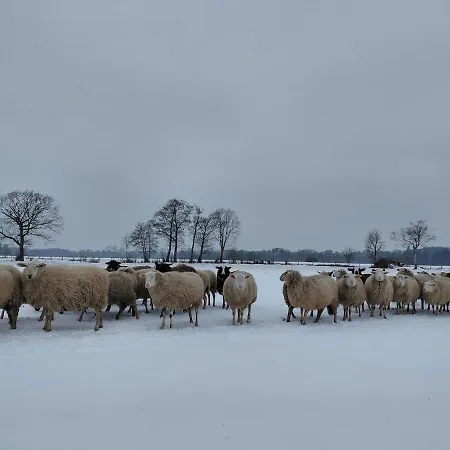 Gemuetliche Mit Blick In Wiesen Stuhr