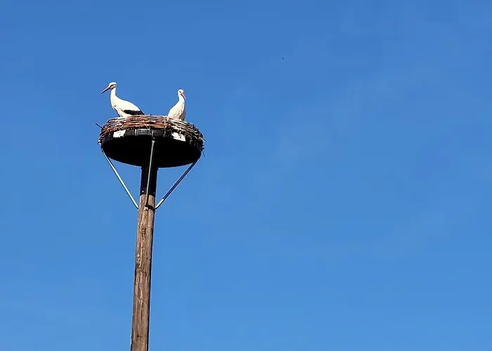 Gemuetliche Mit Blick In Wiesen *
